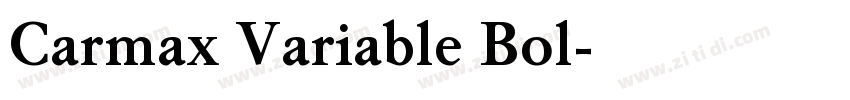 Carmax Variable Bol字体转换